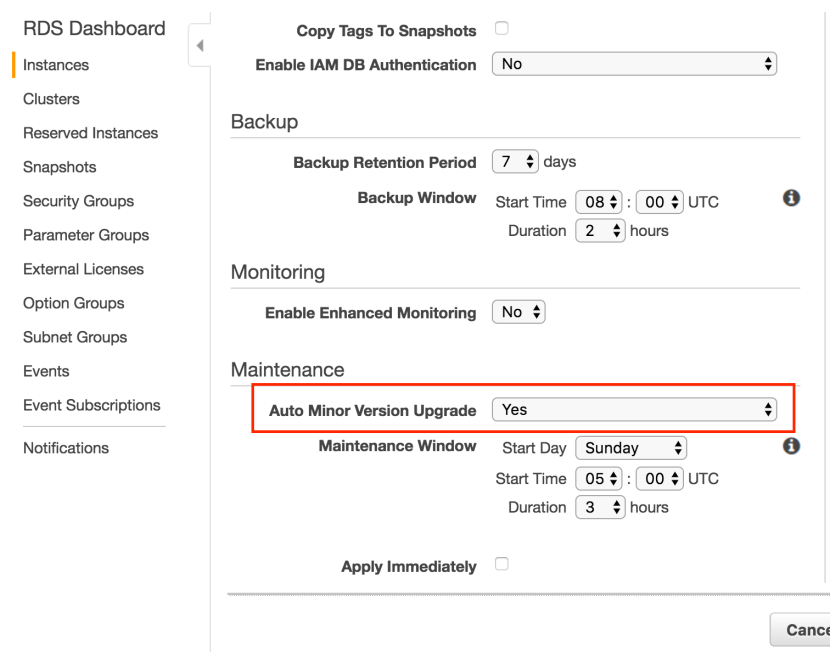 Auto-Minor-Version-Upgrade